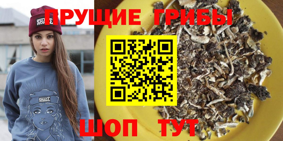 Галлюциногенные грибы Magic Shrooms Грозный