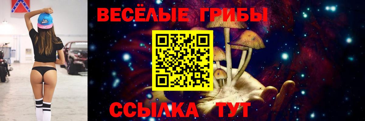 Псилоцибиновые грибы MAGIC MUSHROOMS  Псилоцибиновые грибы MAGIC MUSHROOMS  Грозный  Вход с VPN 